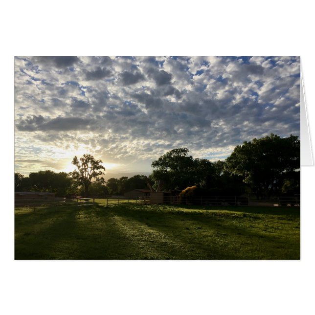 Cartão Sunrise no Vale do Norte, Albuquerque, NM (Frente Horizontal)