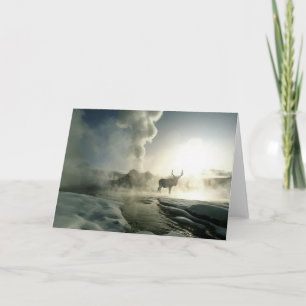 Cartão Sunrise Silhouette de Elk no Castelo Geyser