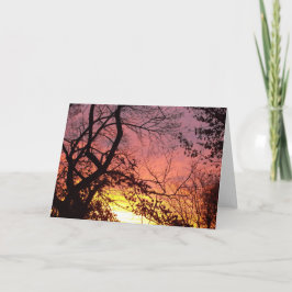 Cartão Sunset Colorido Através De Árvores Negras