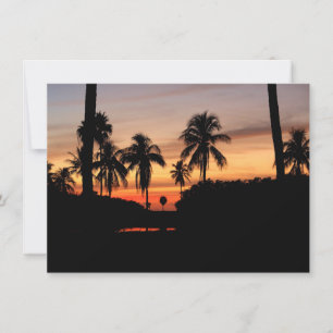 Cartão sunset da Flórida