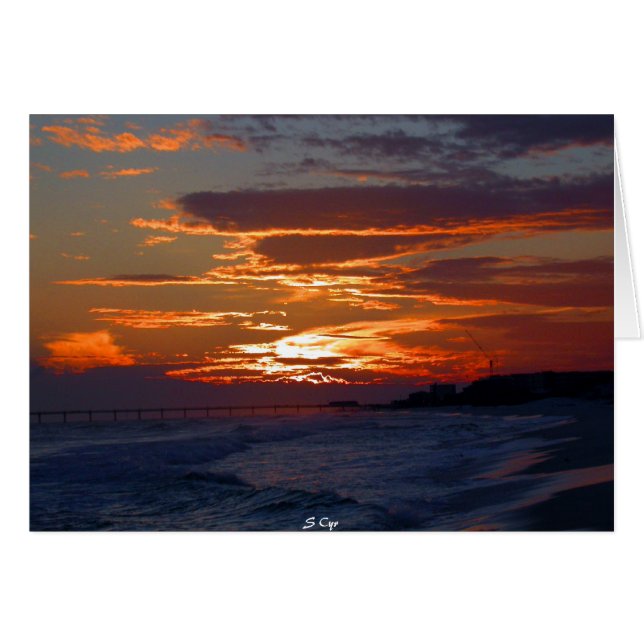 Cartão Sunset da Flórida do Golfo (Frente Horizontal)