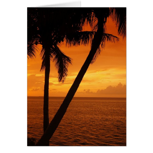 Cartão Sunset da Flórida Key (Frente)