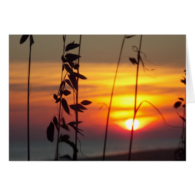 Cartão Sunset de inverno (Frente Horizontal)