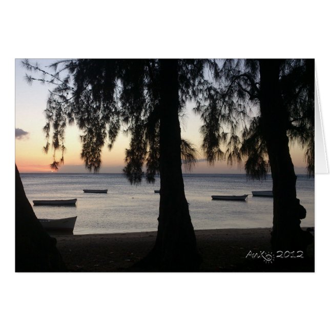 Cartão Sunset em Albion (Frente Horizontal)