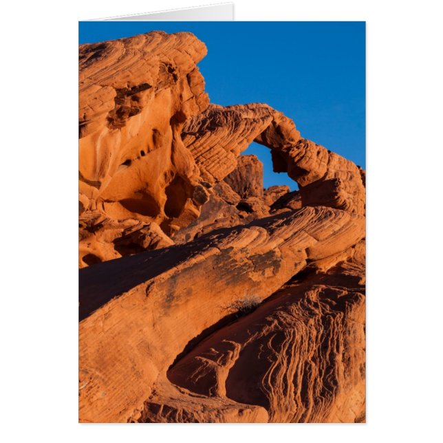 Cartão Sunset Inferno (Frente)