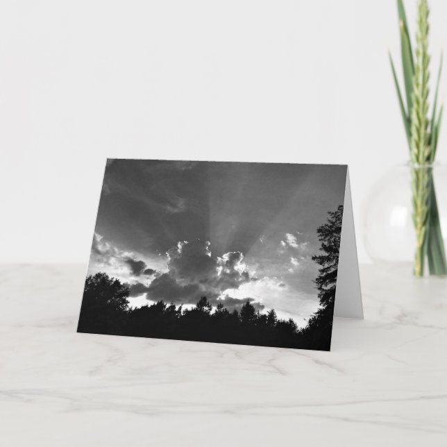 Cartão Sunset / Noir, placa (Frente)