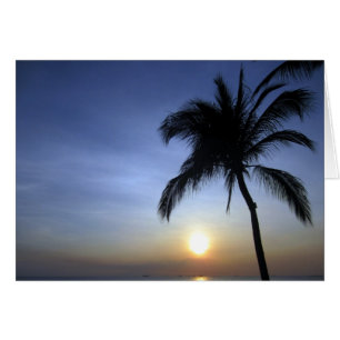 Cartão sunset palm manila