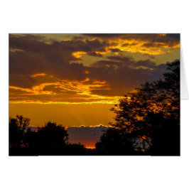 Cartão Sunset vívido com pássaro voador