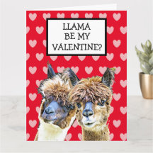 Super Grande Llama Seja meu namorado no dia dos na