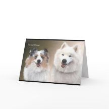 Suporte para NSR da Sheltie & Samoyed Greeting Car