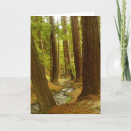 Cartão Sur grande, Califórnia