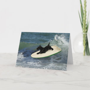 Cartão Surfando Scottish Terrier