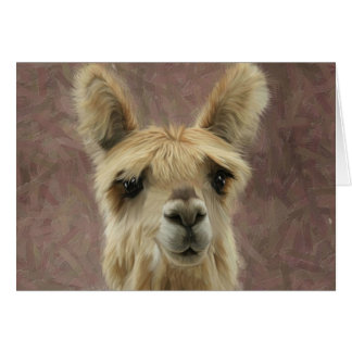 Cartão Suri Alpaca