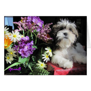 Cartão Surpresa romântica?