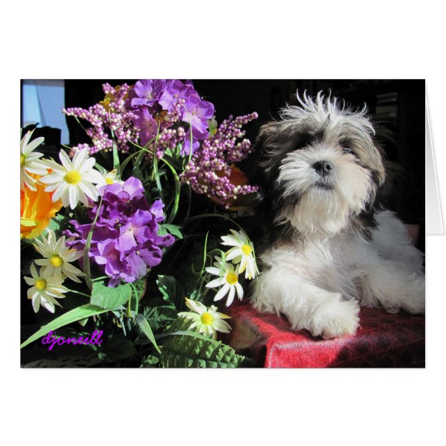 Cartão Surpresa romântica? (Frente Horizontal)