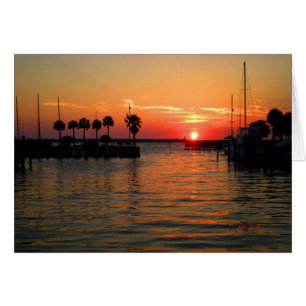 Cartão "Suspendendo porto de Dunedin do tempo"