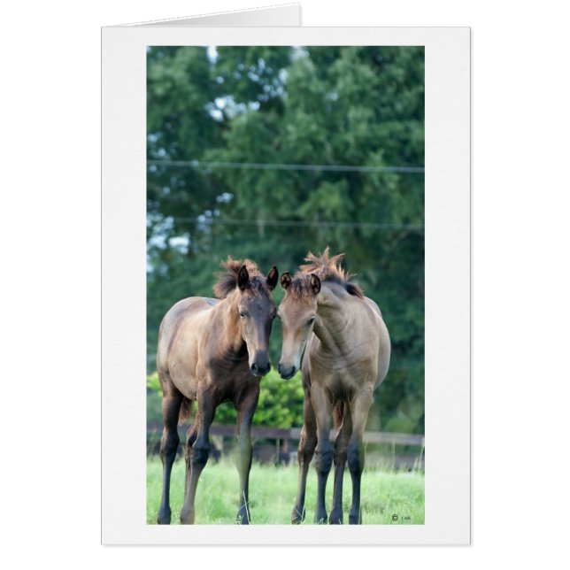 Cartão Sussurro (Frente)