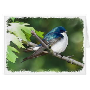 Cartão Swallow - Tree Swallow - Placa de arte de 5" x 7"