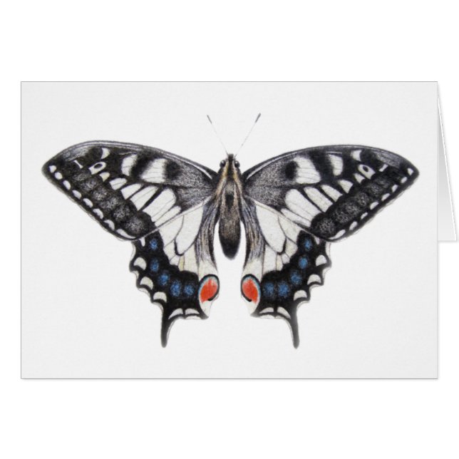 Cartão Swallowtail 2012 (Frente Horizontal)