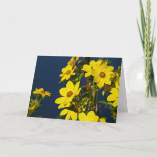 Cartão "Swamp Sunflower 1." Greeting Card