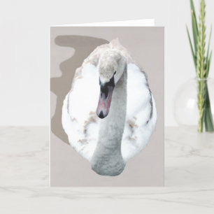Cartão Swan.