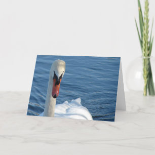 Cartão Swan