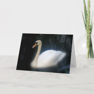 Cartão Swan Birthday