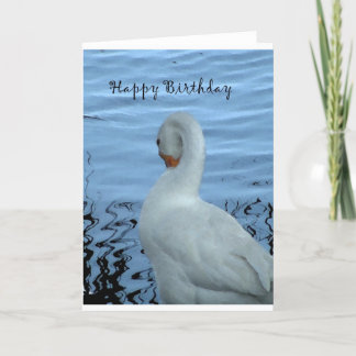 Cartão Swan Birthday