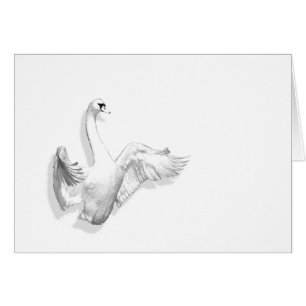 Cartão Swan branco - placa