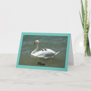 Cartão Swan Com Placa De Dia de as mães Para Bebês