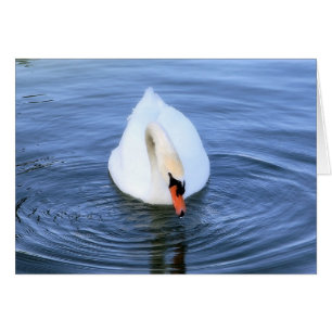 Cartão Swan nº 2