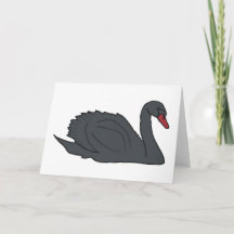 Swan Negro
