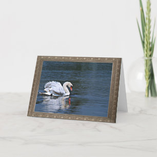 Cartão swan ruffled feathers 1  notecard