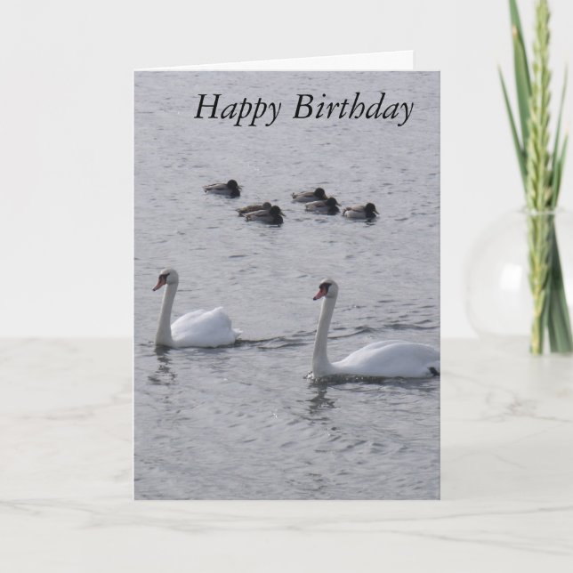 Cartão Swans Birthday Card (Frente)