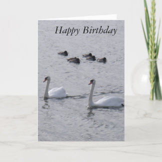 Cartão Swans Birthday Card