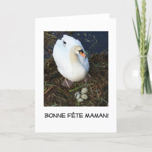 Cartão swans nest card french