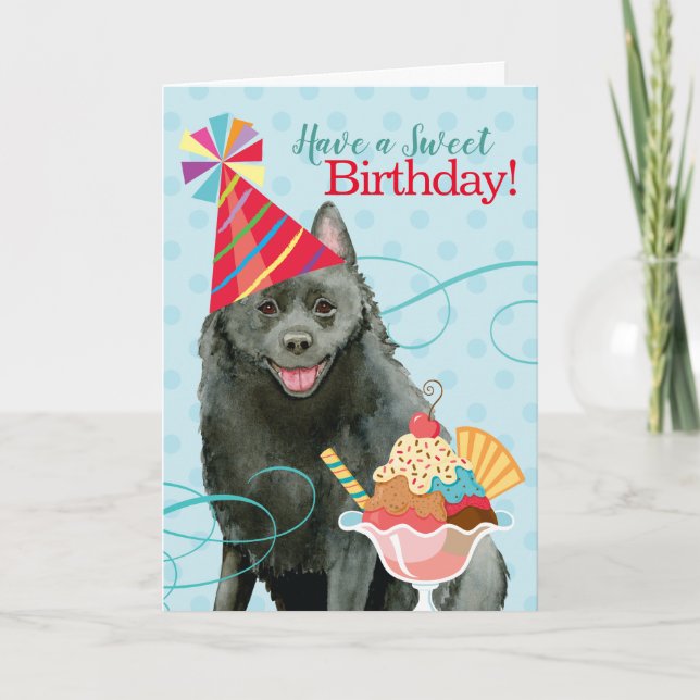 Cartão Sweet Birthday Schipperke (Frente)