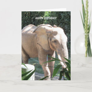 Cartão Sweet Elephant Birthday Wishes