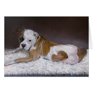 Cartão Sweet Heart, Bulldog Americano