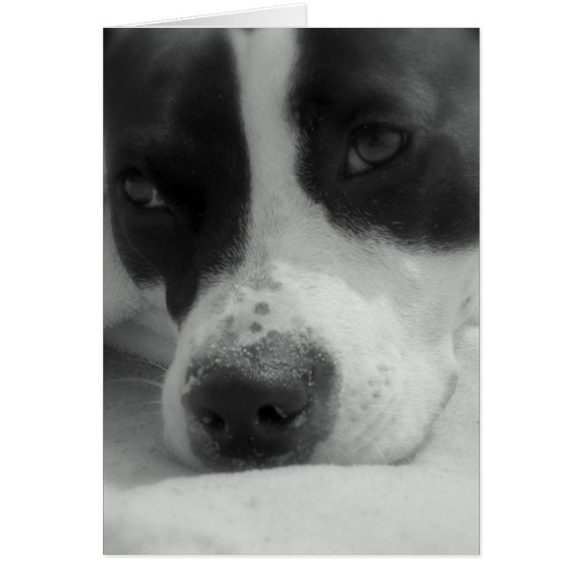 Cartão Sweet Maggie (Frente)