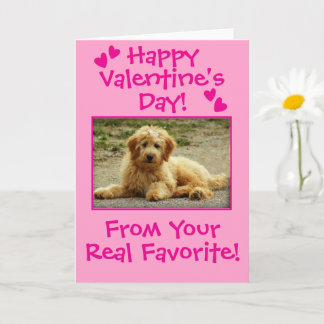 Cartão Sweet Valentine's Day From The Dog Photo Card