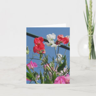Cartão Sweetpeas Note Card