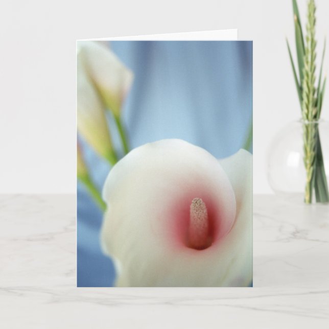 Cartão Swirl White Calla Lily (Frente)
