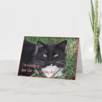 Sylvester-Get Bem-Personalizar