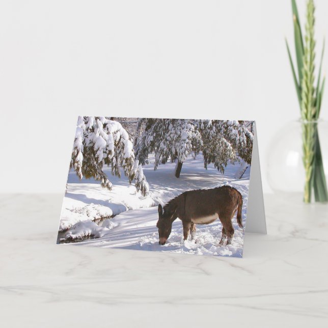 Cartão Sylvia (Frente)