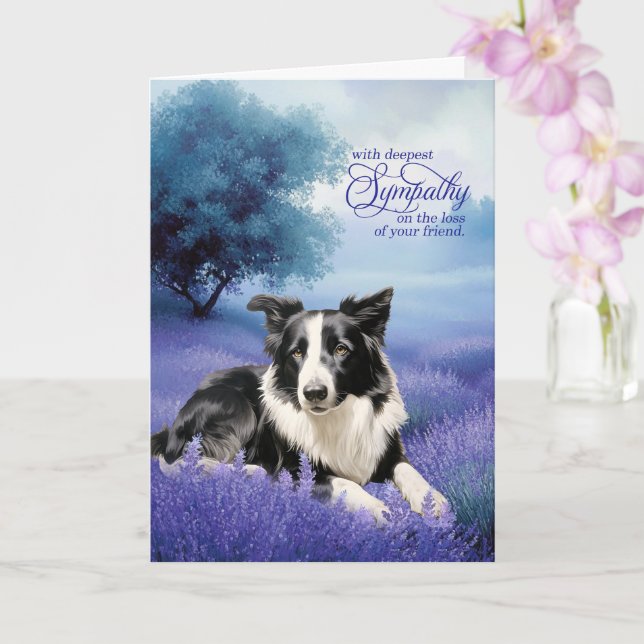 Cartão Sympathy Border Collie Dog Lavender Meadow (Orquídea)