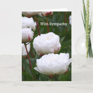 Cartão Sympathy Card