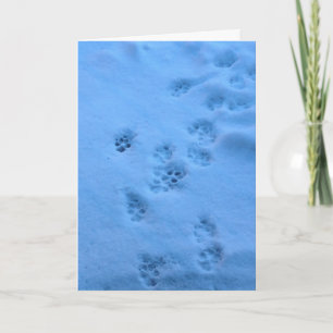 Cartão Sympathy card for a pet