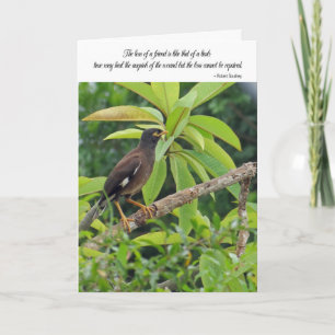 Cartão Sympathy card - Loss of a friend