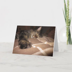 Cartão Sympathy - Cat